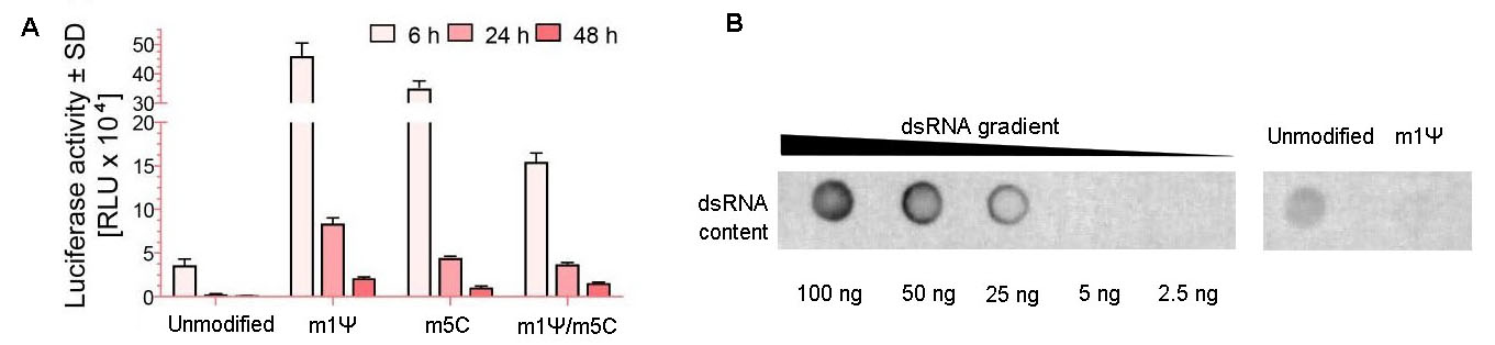 mRNA nucleotide modification validation